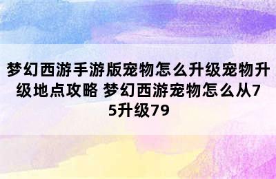 梦幻西游手游版宠物怎么升级宠物升级地点攻略 梦幻西游宠物怎么从75升级79